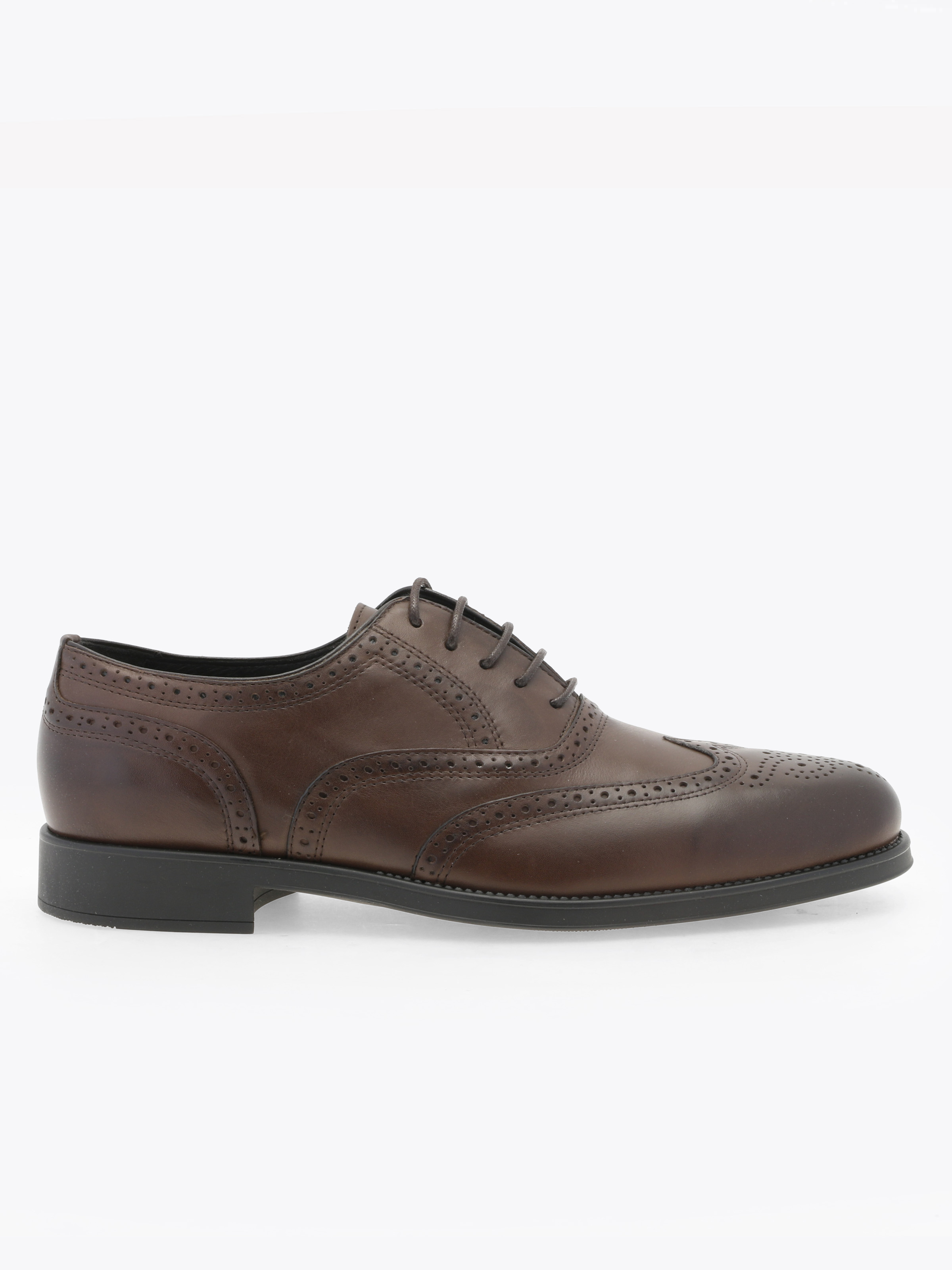 Gregers Oxford Brogue — Brown