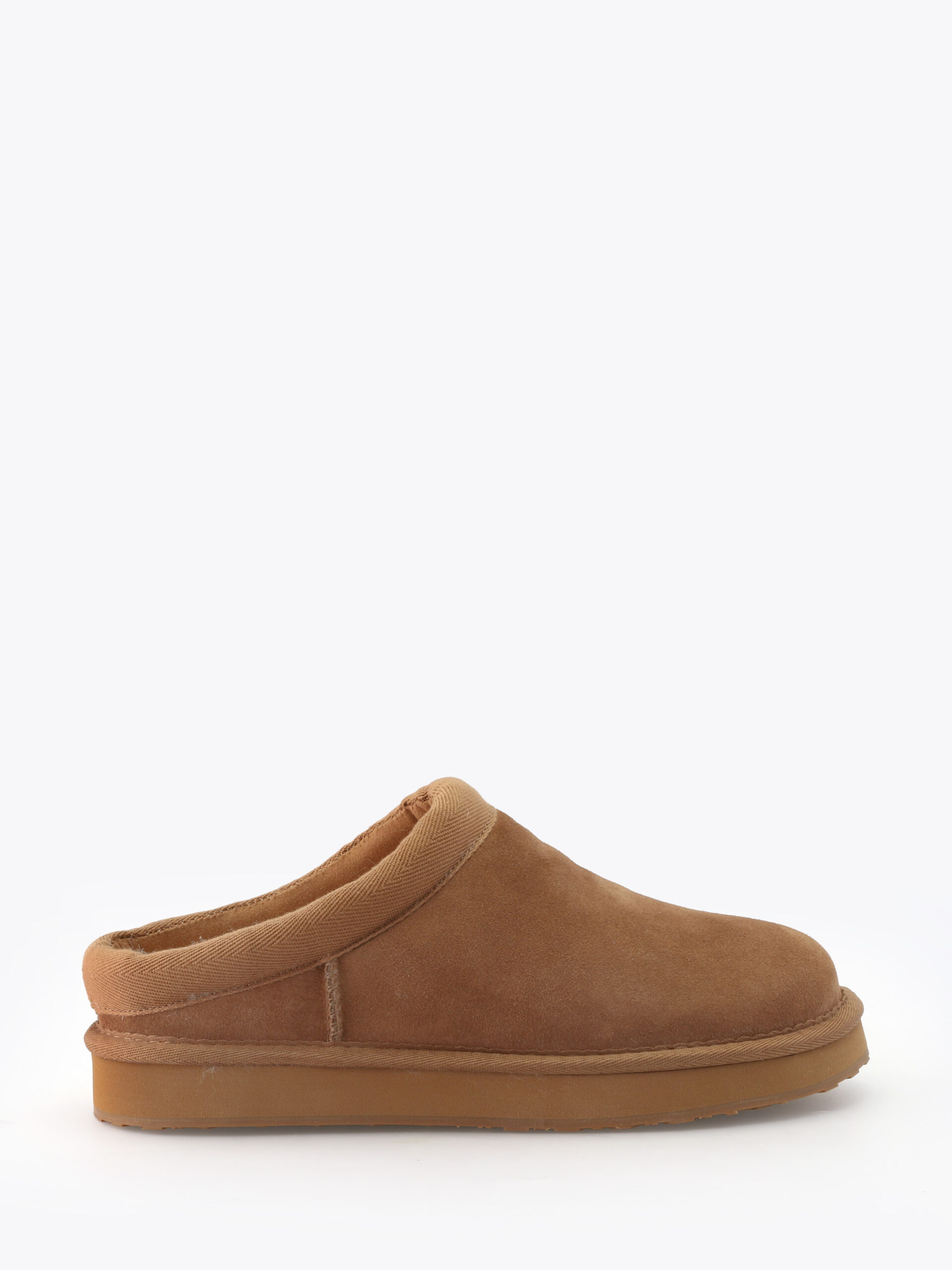 Roberto Rosso Cabot - camel