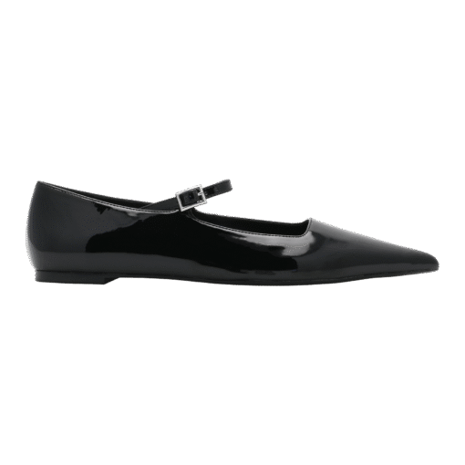 Roberto Rosso Pointed Ballerina - black