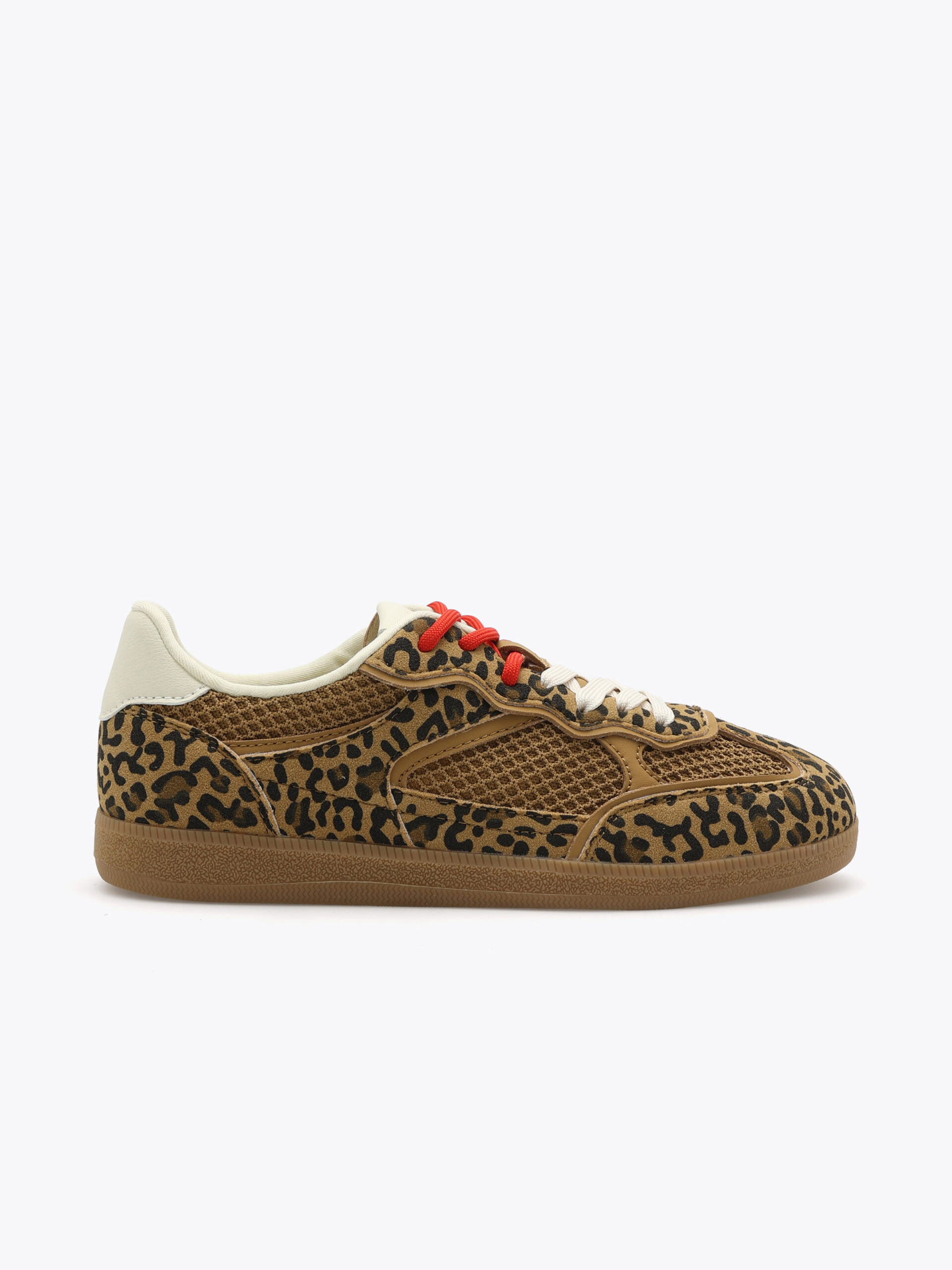 Jean Paul Bonjour - leopard