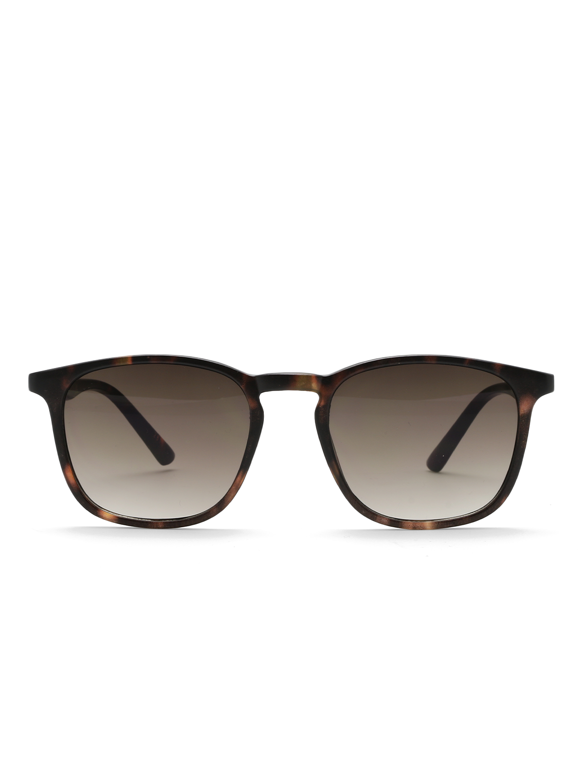 Roberto Rosso Brera - Tortoise - Bilde 3